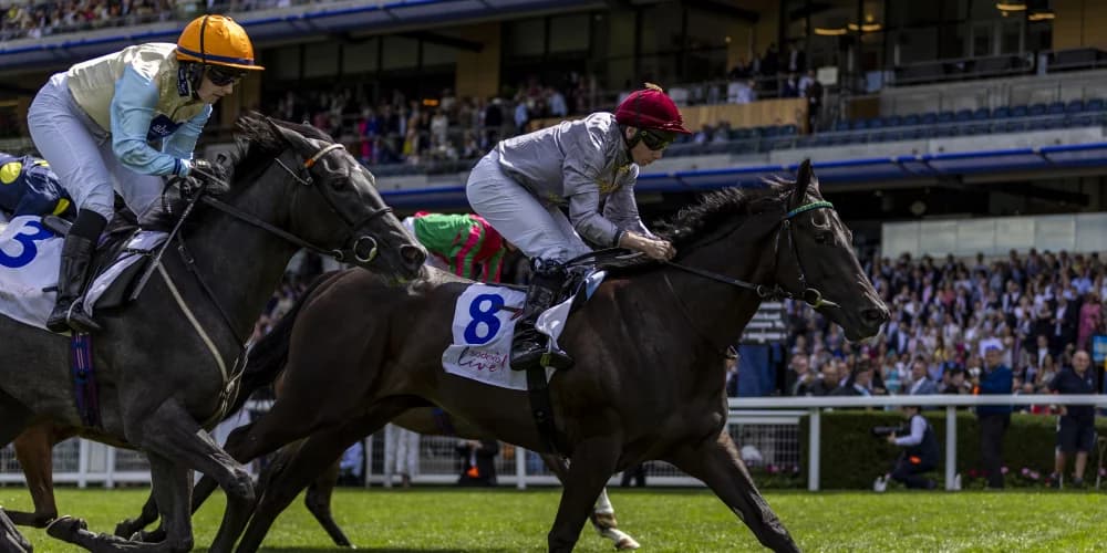 Simmering proves far too smart for Deauville rivals