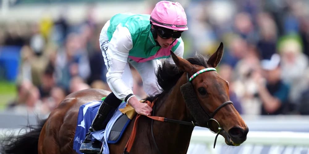 Bluestocking set for little break before Paris or Ascot trip