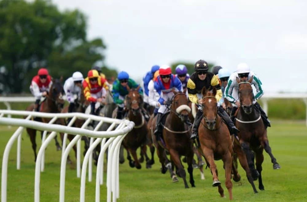 Discover Carlisle Mixed Racecourse: A Premier Destination