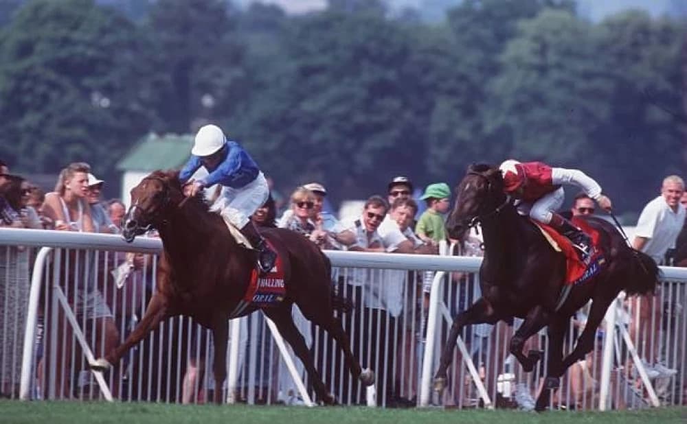 Eclipse: The Legendary Racehorse of 18th Century Racing