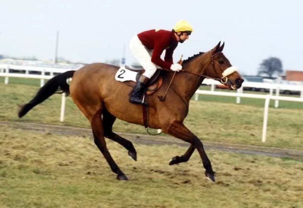Red Rum: The Legendary Champion of Horse Racing