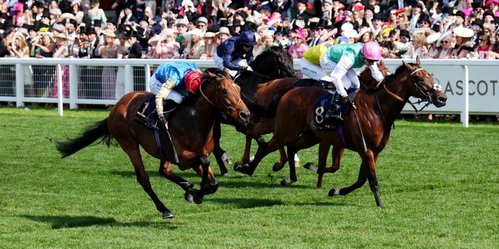 Kikkuli primed for Hungerford action at Newbury