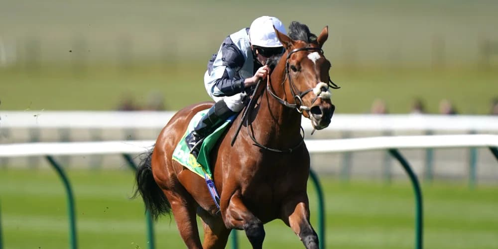 Late decision expected on Passenger weekend outing