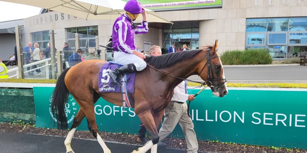 Diego Velazquez roars back to form in Meld Stakes