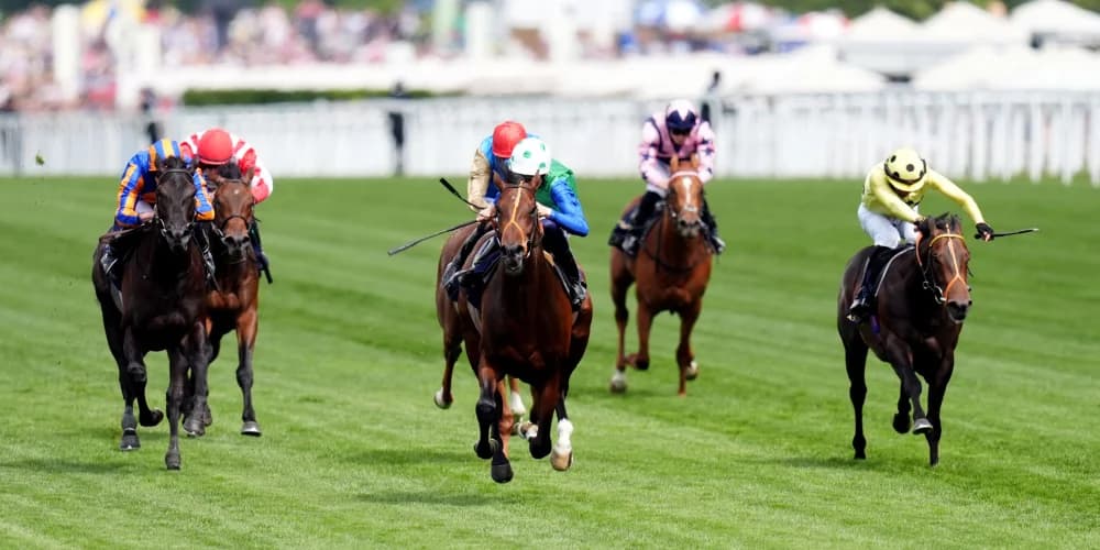 Rashabar hangs for victory in thrilling Coventry Stakes