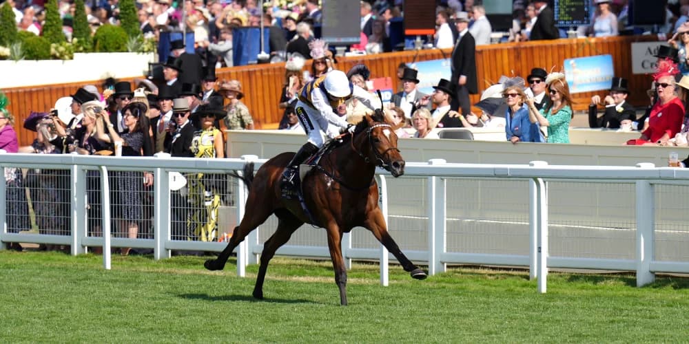 Docklands set for Juddmonte date before trip Down Under