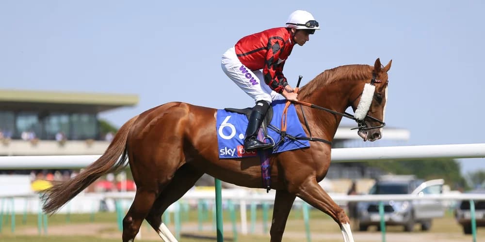 "Charlie Fellowes Keeps Fans Guessing: The Wizard Of Eye’s Next Challenge"