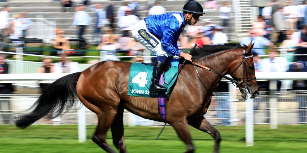 Burrows Anticipates Anmaat to Improve After Winning Comeback