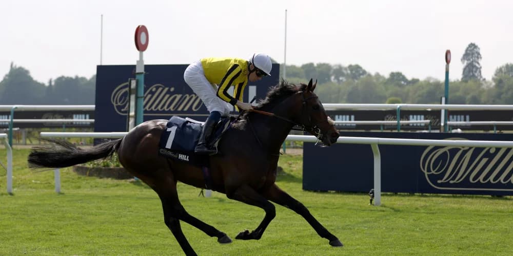 Ambiente Friendly in fine form ahead of Irish Derby date