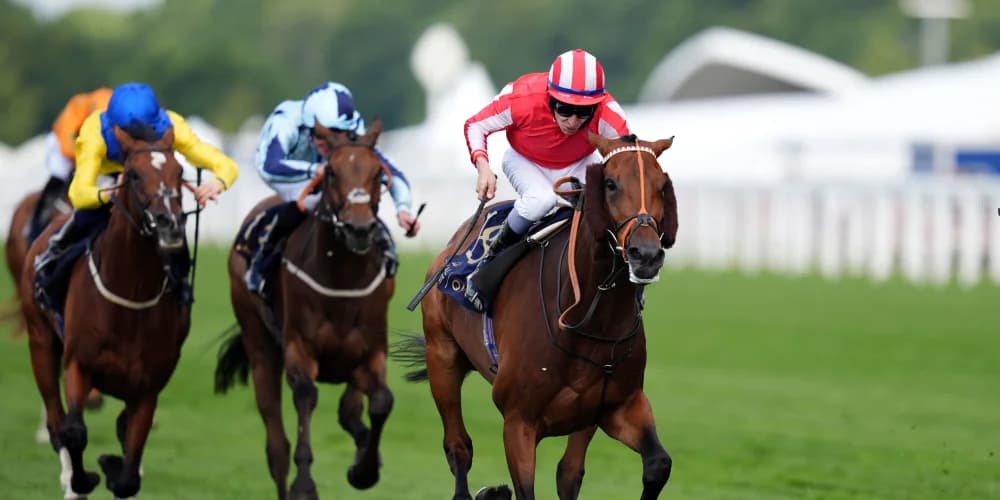 Prescott expresses Plate doubts about Pledgeofallegiance