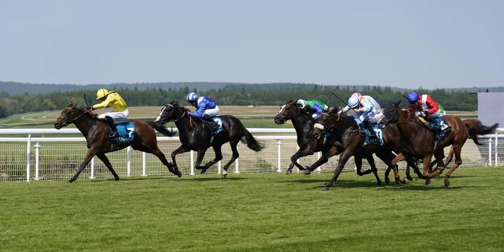 Raqiya gets Oak Tree prize in the stewards’ room