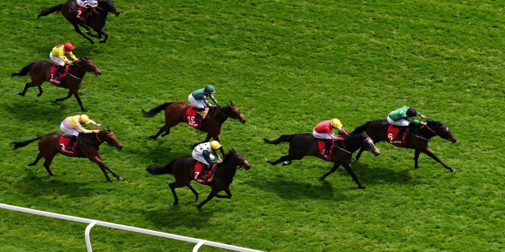 Tutty hoping to take Royal Ascot by Storm