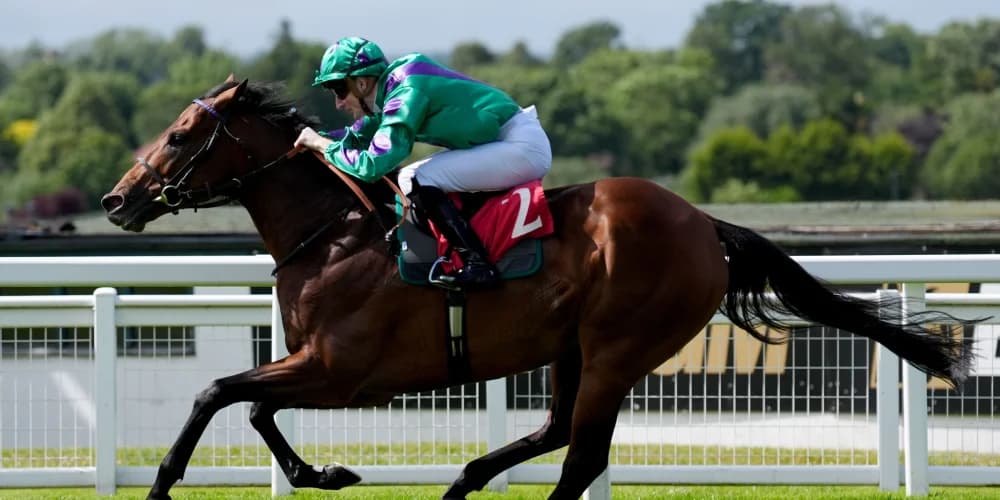 Prague could prove an incredible purchase for Cunha stable