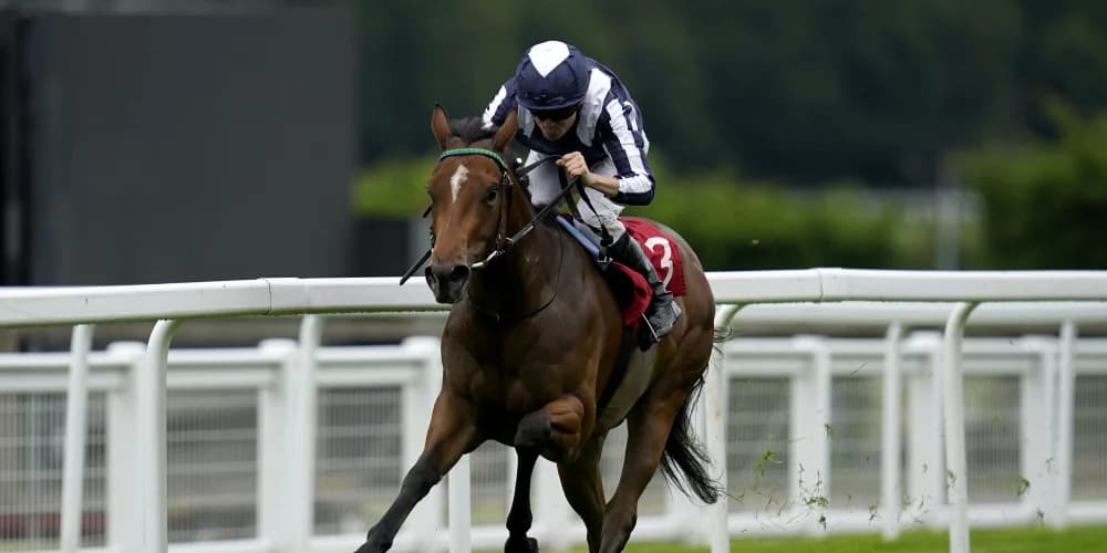 Plans on hold for Celestial Orbit after setback