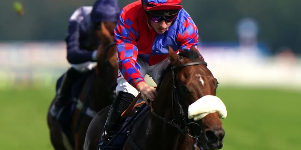 Big Evs will bid to bow out in blaze of Breeders’ Cup glory