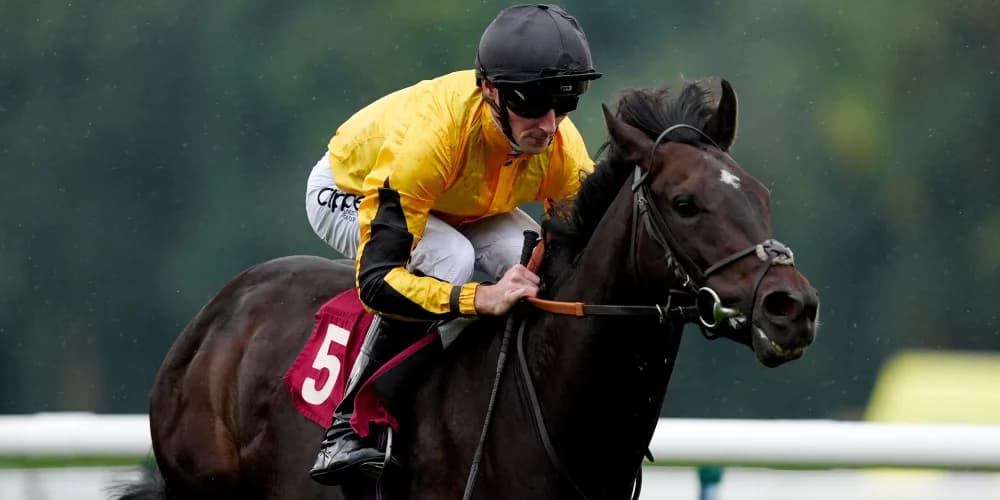 Luther never too much for Fellowes at Haydock