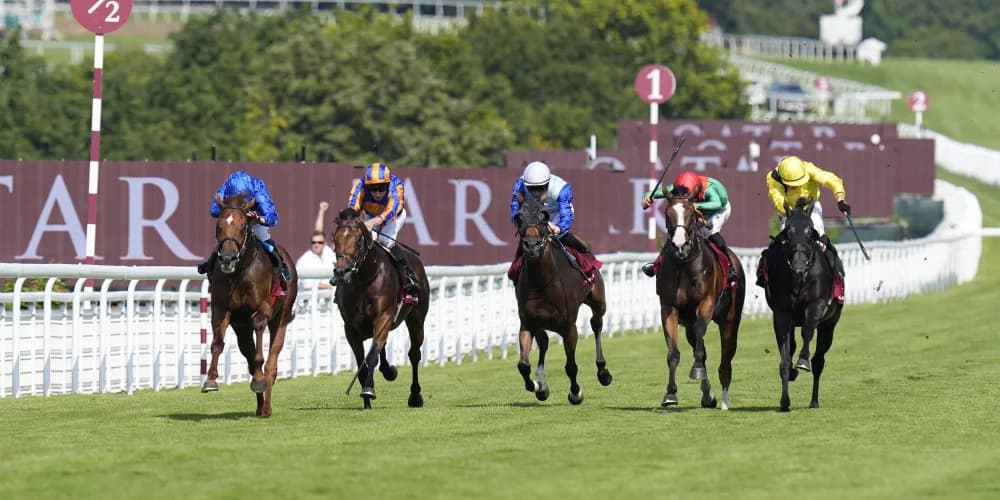 Haggas eyeing step up in trip for Maljoom