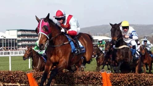 Cheltenham November Meeting: A Thrilling Start to Jumps Season