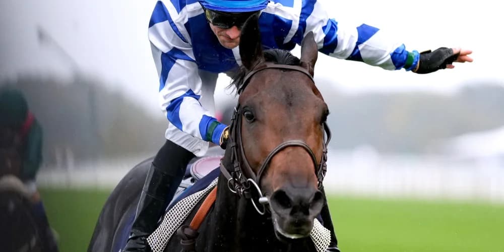 Guarnieri pencils in Deauville date for Big Rock