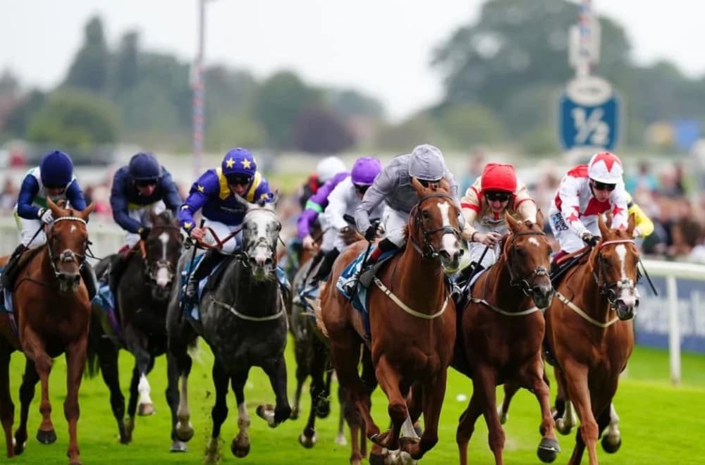 Thunder Run Triumphs in £150,000 Clipper Handicap at York