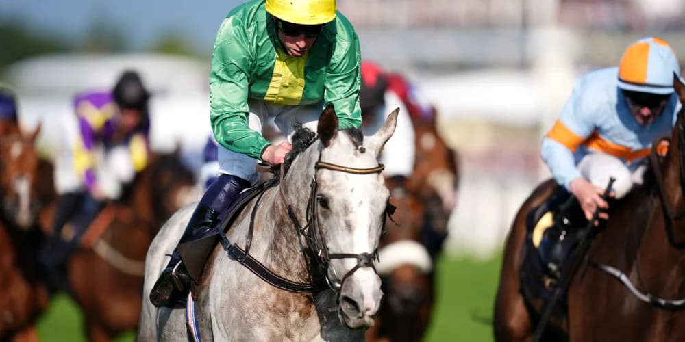 Belloccio could be set for Supreme adventure after hurdling return at Galway