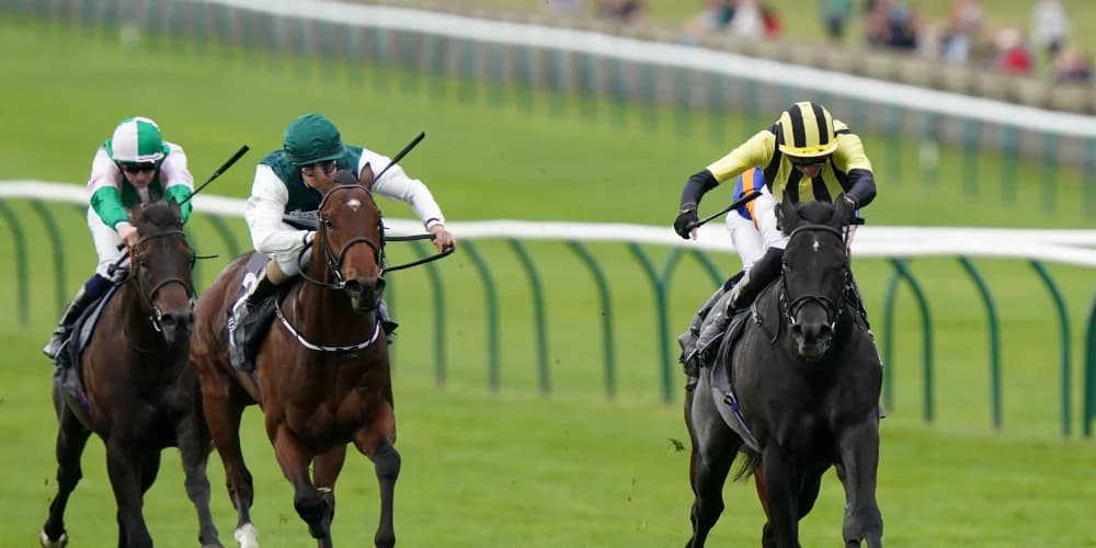 Vandeek retired to stand at Cheveley Park in 2025