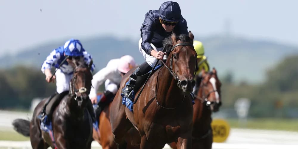 "A Statement Win: Ides of March Secures Stunning Group Three Victory at the Curragh"