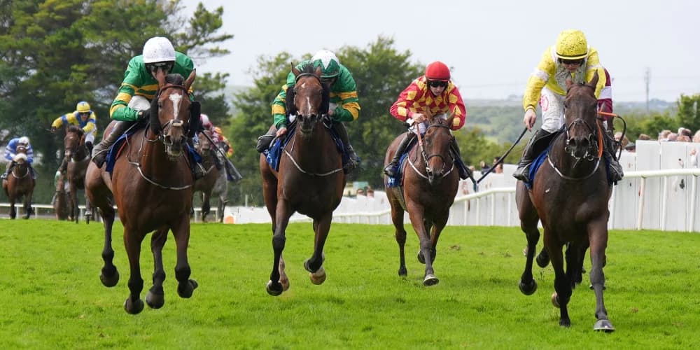 The Wallpark claims last-gasp Listed success