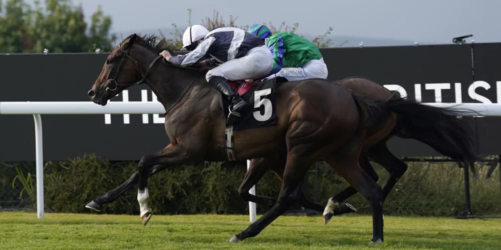 Dreamy start at Goodwood for O’Brien newcomer