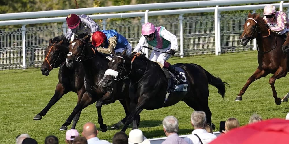 Jouncy facing step up in class at York in Gimcrack