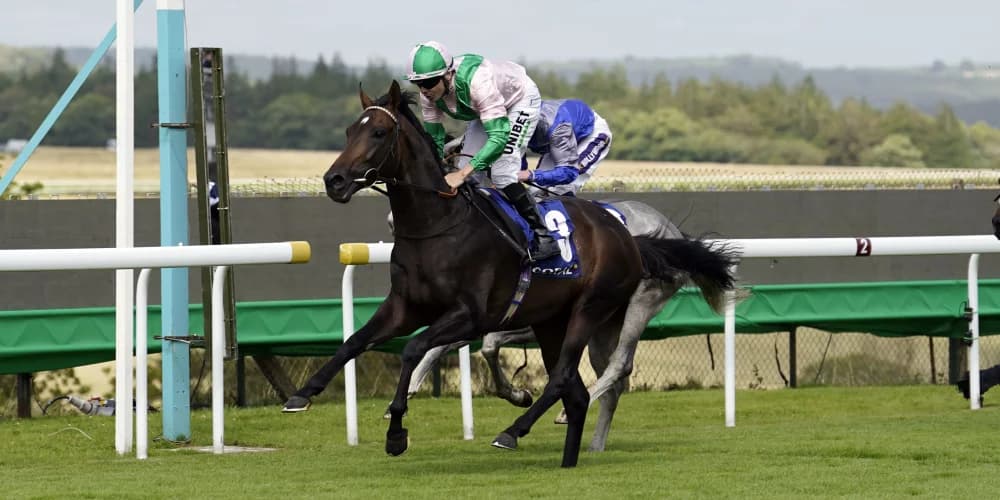 Charlie Hills Sends Two Contenders to Kentucky Downs for Graded Races