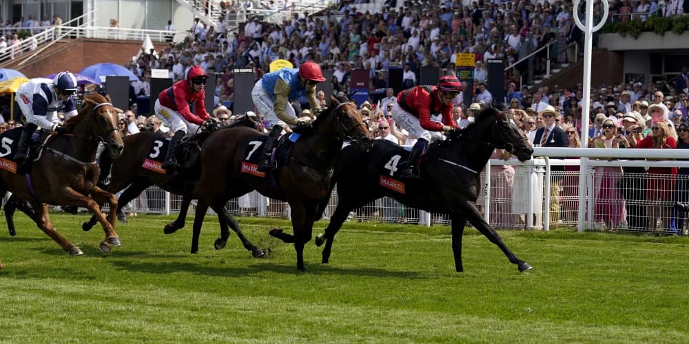 Irish eyes smiling as Black Forza reels in Richmond favourite