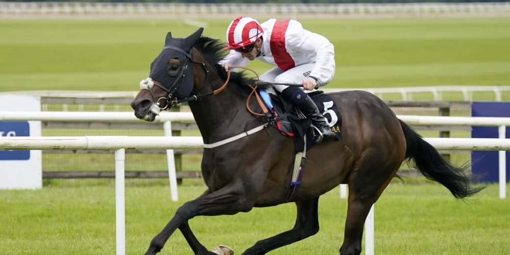 Tate tempted by Blandford target for Royal Dress