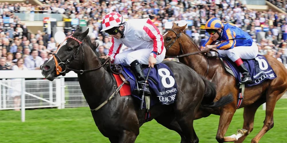 Lynam looks back fondly on ‘great days’ with Nunthorpe hero Sole Power