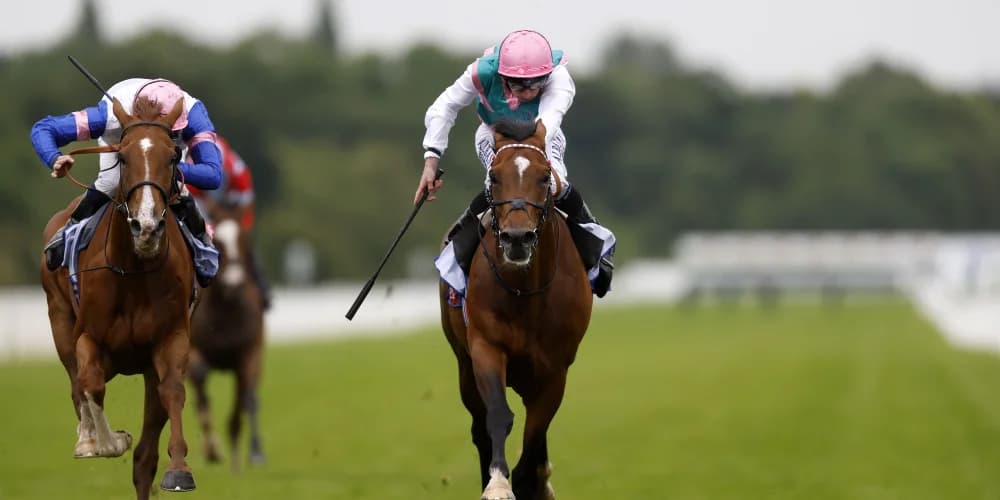 Klondike collects first prize in Grand Cup at York