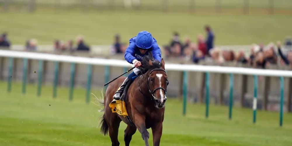 Nations Pride stars in Arlington Million