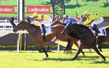 "Freedom Rally: Gollan's Rising Star Set to Shine"