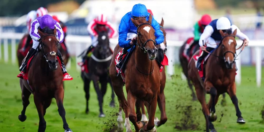 Desert Flower blooms in impressive May Hill success