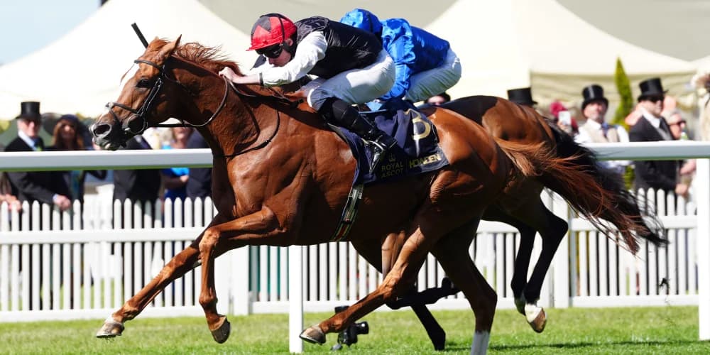 Superstar stayer Kyprios in top shape for Goodwood Cup