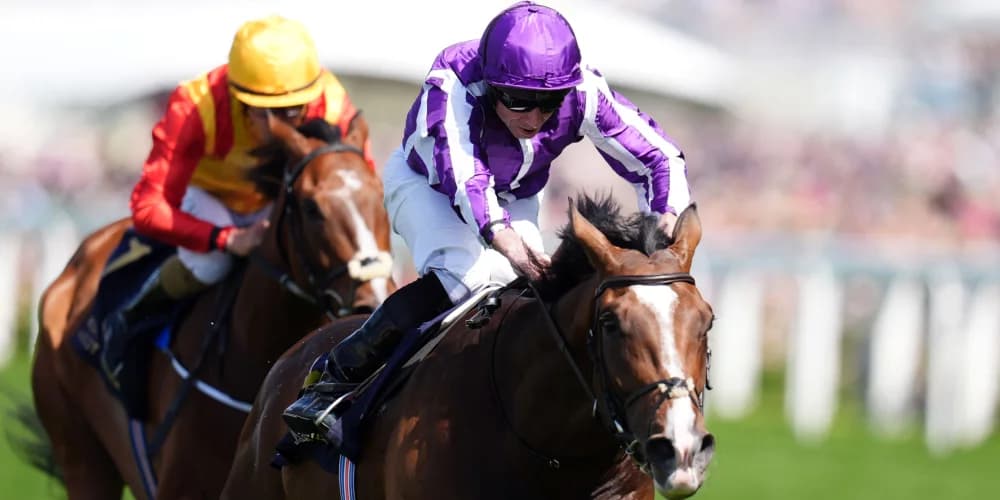 O’Brien Unleashes Triple Threat at the Betfred St Leger