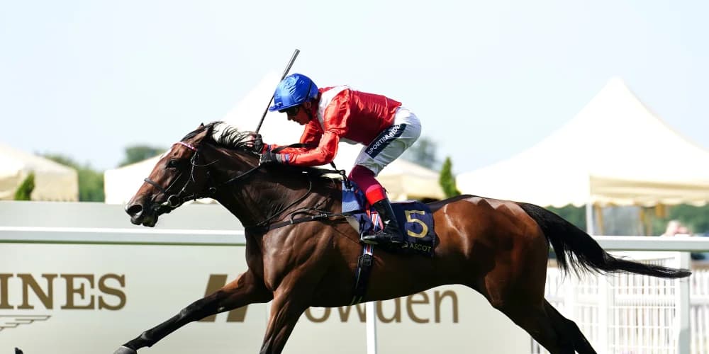 Prince of Wales’s stamina test proves too much for Inspiral on the day