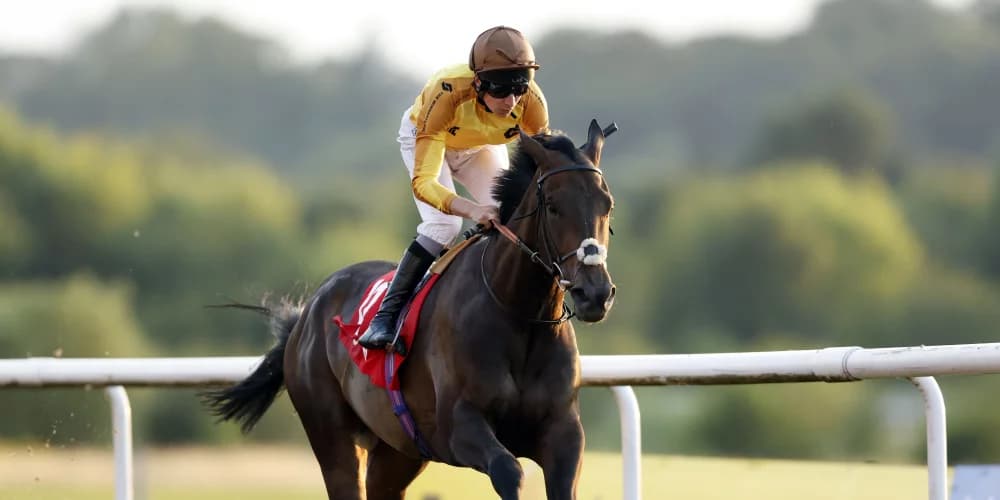 Reaching High bolts up for notable Racing League success