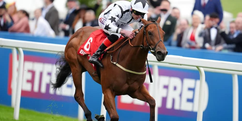 Ascot not the aim for Woodcote scorer Teej A