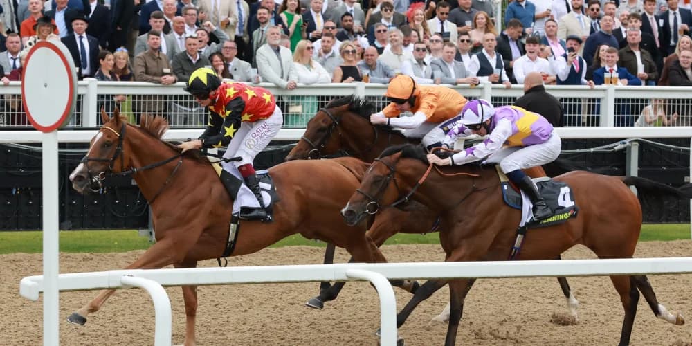 Montassib runs down Kinross to snatch Chipchase spoils