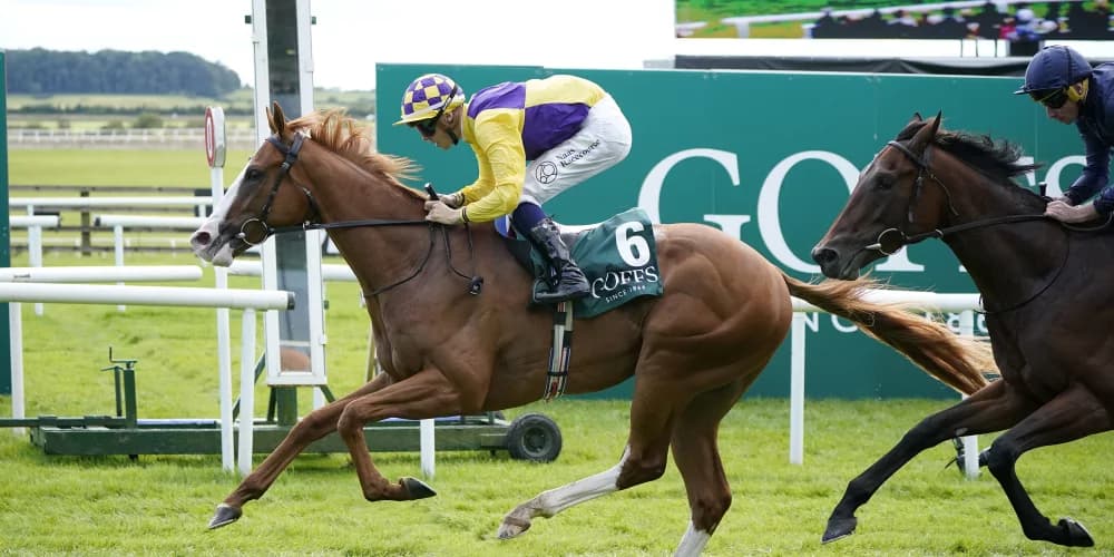 Scorthy Champ floors Henri Matisse in National surprise