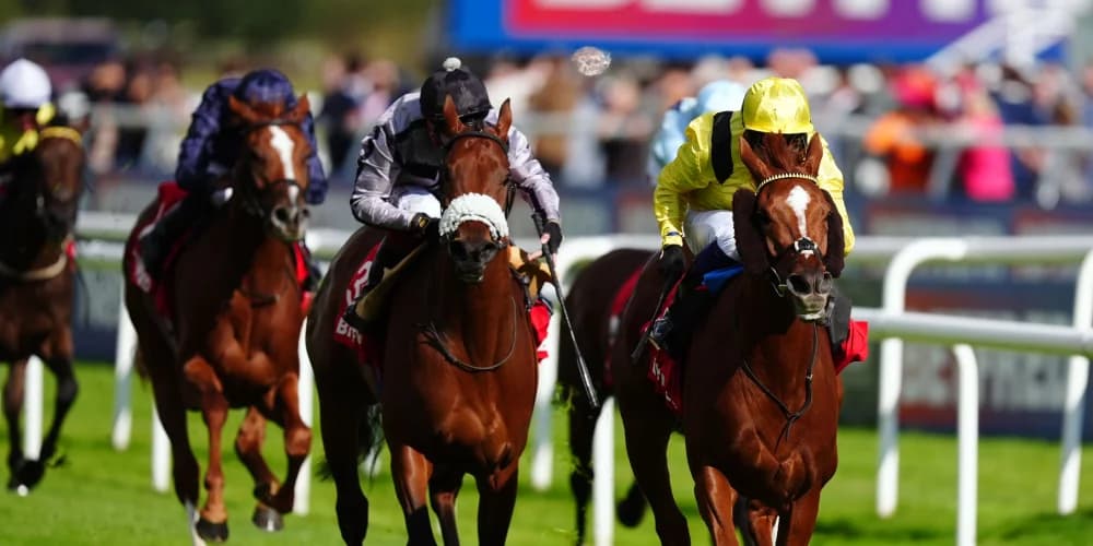 Nakheel gallops on gamely to plunder Park Hill spoils