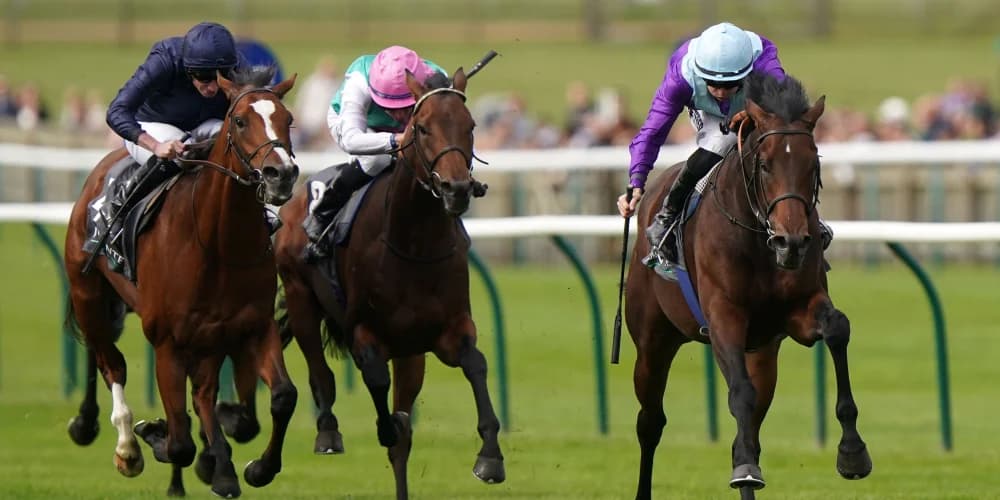 No hurry for connections to firm up Ghostwriter route