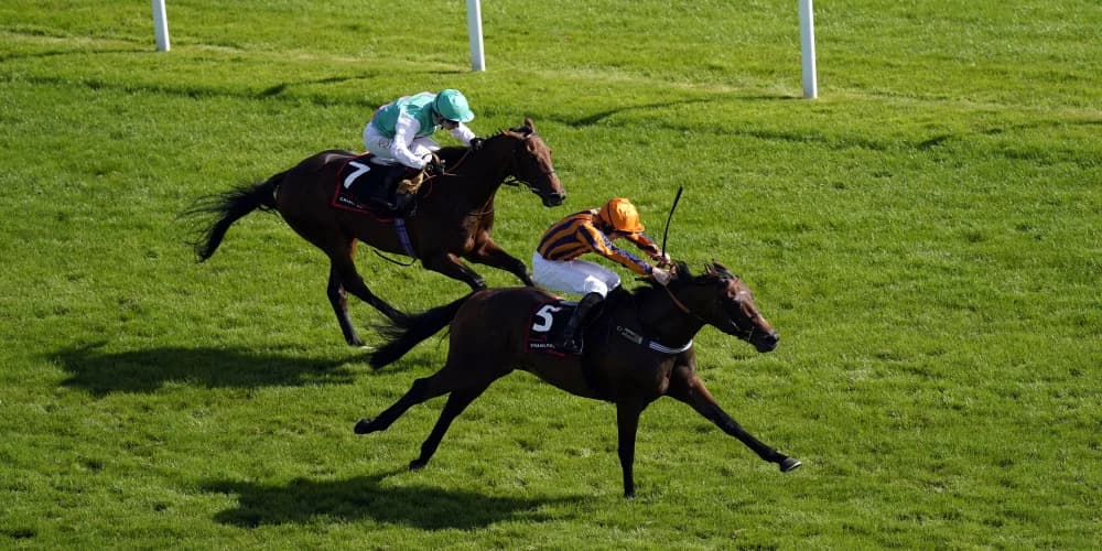 Teal believes that Shoe fits for Dancing Gemini ride