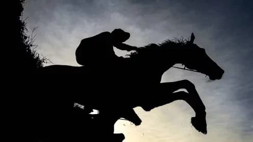 Thurles Jumps Meeting Canceled Again Due to Dry Conditions