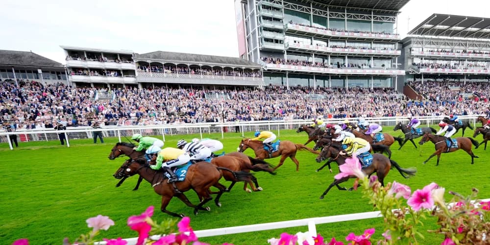 Jungle enjoys change of fortune in Ebor Festival opener